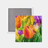 Tulpen die kantelen magneet (Voorkant / Achterkant)