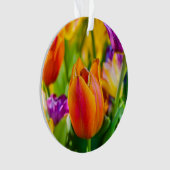 Tulpen die kantelen ornament (voorkant)