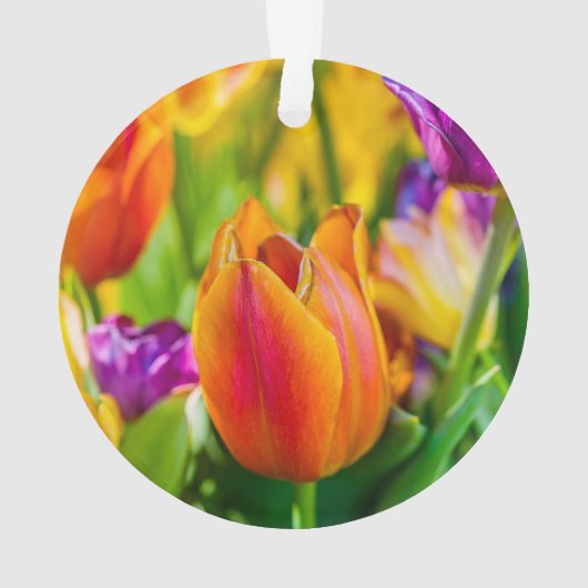 Tulpen die kantelen ornament (achterkant)