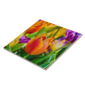 Tulpen die kantelen tegeltje (Zijkant)