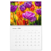 Tulpen die mooi betoveren kalender (Jan 2026)