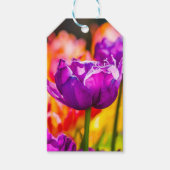 Tulpen die Paars uitzenden Cadeaulabel (Voorkant)