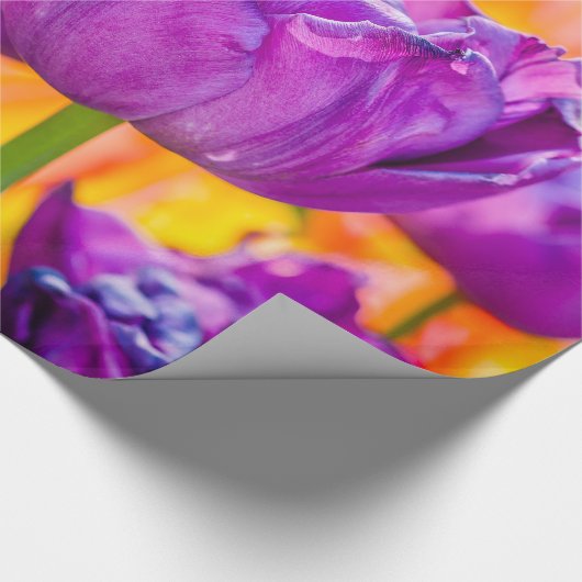 Tulpen die Paars uitzenden Cadeaupapier (Hoek)