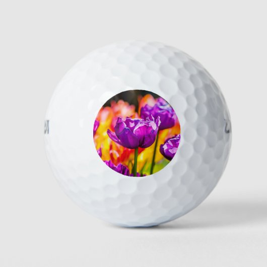 Tulpen die Paars uitzenden Golfballen (Voorkant)