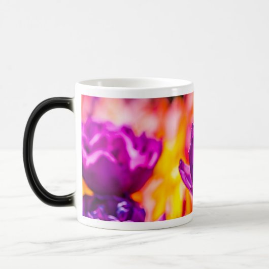 Tulpen die Paars uitzenden Magische Mok (Links)