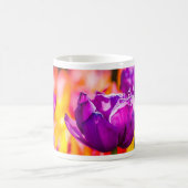 Tulpen die Paars uitzenden Magische Mok (Center)