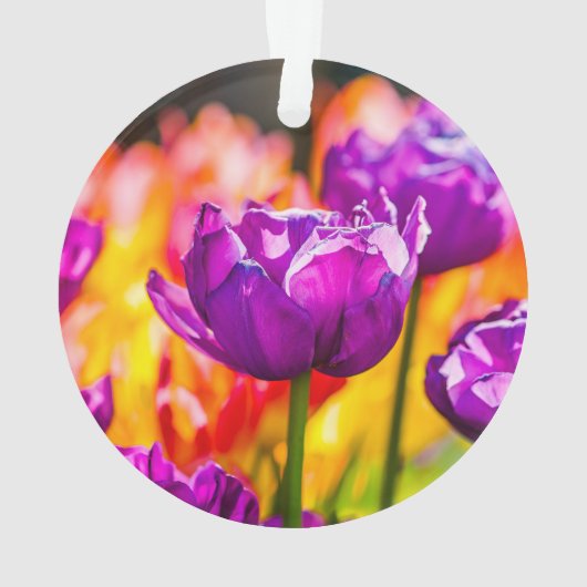 Tulpen die Paars uitzenden Ornament (achterkant)
