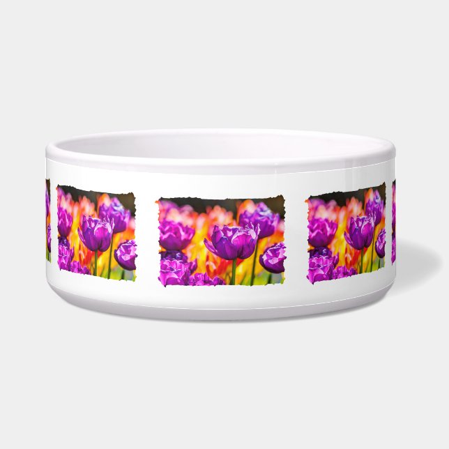 Tulpen die Paars uitzenden Voerbakje (Voorkant)