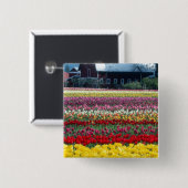 Tulpen displaytuin, Skagit county, Vierkante Button 5,1 Cm (Voorkant /achterkant)