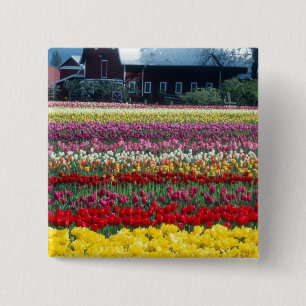 Tulpen displaytuin, Skagit county, Vierkante Button 5,1 Cm