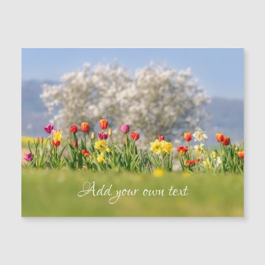 Tulpen + druppels voor kleurrijke bloemen Magnetis (Voorkant)