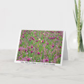 Tulpen en andere bloemen kaart (Achterkant)