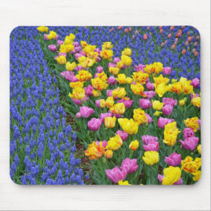 Tulpen en blauw- en bloemknollen muismat
