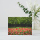 Tulpen en bomen briefkaart (Staand voorkant)