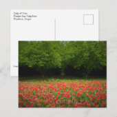 Tulpen en bomen briefkaart (Voorkant / Achterkant)