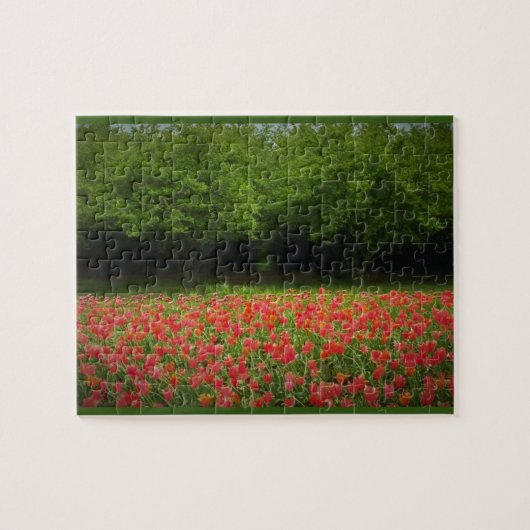 Tulpen en bomen legpuzzel (Horizontaal)
