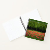 Tulpen en bomen notitieboek (Binnen)