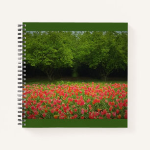 Tulpen en bomen notitieboek