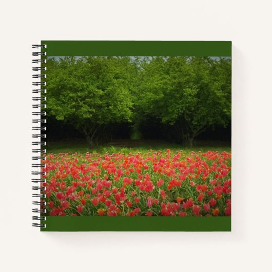 Tulpen en bomen notitieboek (Voorkant)
