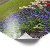 Tulpen en daffodils, Keukenhof Gardens Foto Afdruk (Hoek)