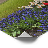 Tulpen en daffodils, Keukenhof Gardens Poster (Hoek)