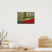 Tulpen en daffodils, Keukenhof Gardens Poster (Keuken)