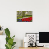 Tulpen en daffodils, Keukenhof Gardens Poster (Thuiskantoor)