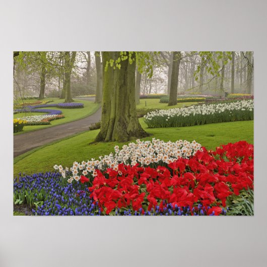 Tulpen en daffodils, Keukenhof Gardens Poster (Voorkant)