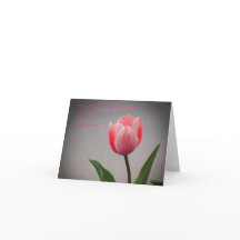 Tulpen en de Schrift