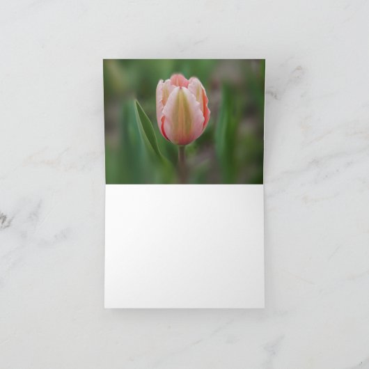 Tulpen en de Schrift Kaart (Binnen)