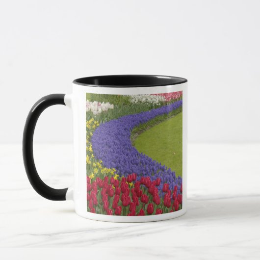 Tulpen- en druivenhyacint- en narcissentuin, mok (Links)