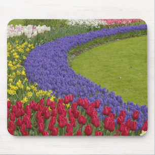Tulpen- en druivenhyacint- en narcissentuin, muismat