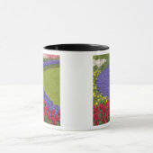 Tulpen en grafiethyacinth en daffodiltuin; mok (Midden)