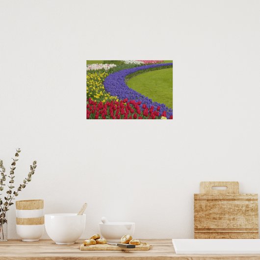 Tulpen en grafiethyacinth en daffodiltuin; poster (Keuken)