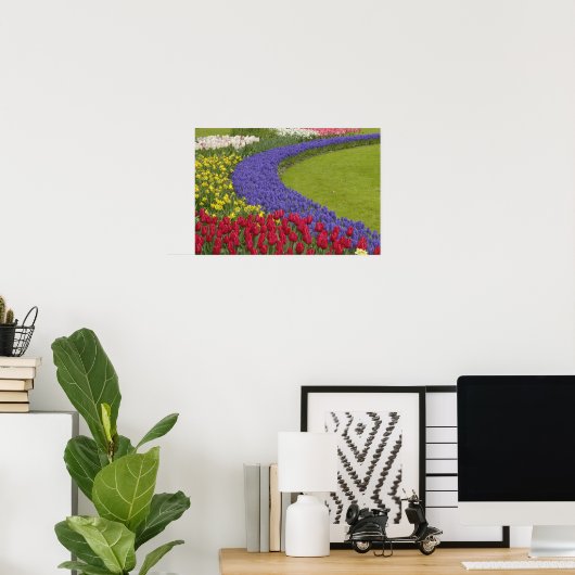 Tulpen en grafiethyacinth en daffodiltuin; poster (Thuiskantoor)