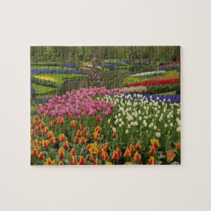 Tulpen- en hyacinten tuin, Keukenhof, Legpuzzel