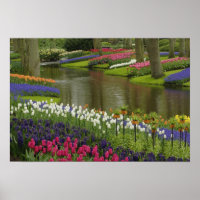Tulpen- en hyacinten tuin, Keukenhof tuinen, 2