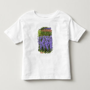 Tulpen- en hyacinten tuin, Keukenhof tuinen, Kinder Shirts