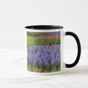 Tulpen- en hyacinten tuin, Keukenhof tuinen, Mok