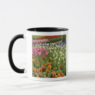 Tulpen- en hyacinten tuin, Keukenhof tuinen, Mok