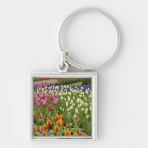 Tulpen- en hyacinten tuin, Keukenhof tuinen, Sleutelhanger