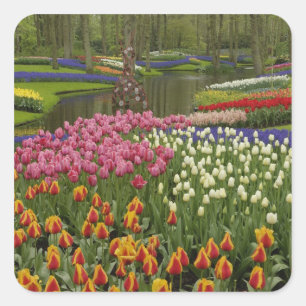 Tulpen- en hyacinten tuin, Keukenhof, Vierkante Sticker