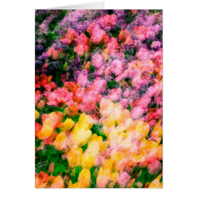 Tulpen en Lilacs (Voorkant)