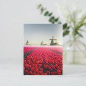 Tulpen en molens briefkaart (Staand voorkant)