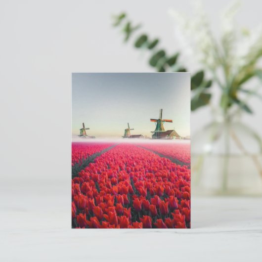 Tulpen en molens briefkaart (Staand voorkant)