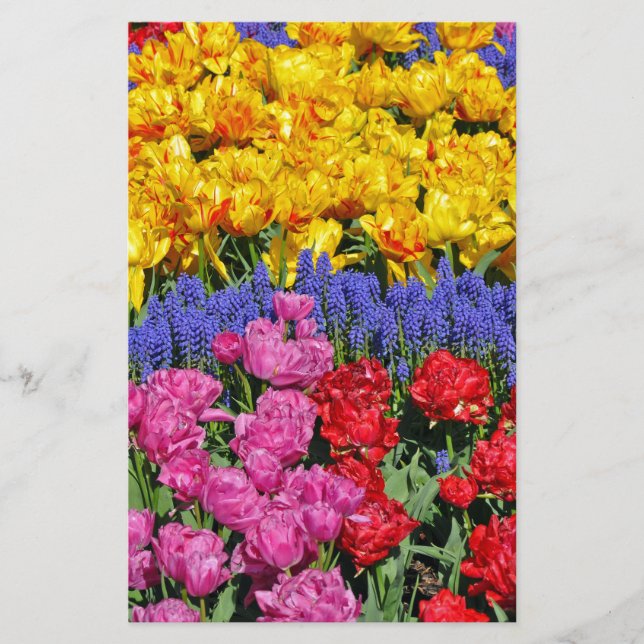 Tulpen en muscari-bloemen (Voorkant)
