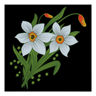Tulpen en narcissen Bloemen Zwarte Achtergrond Poster