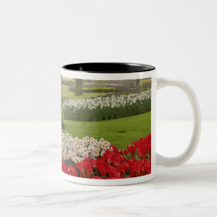 Tulpen en narcissen, Keukenhof tuinen, Tweekleurige Koffiemok