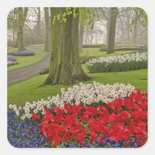 Tulpen en narcissen, Keukenhof tuinen, Vierkante Sticker