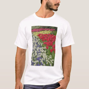 Tulpen- en narcissen tuin, Keukenhof, T-shirt